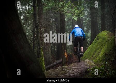 Vista posteriore dei maschi di mountain biker in sella attraverso la foresta Foto Stock