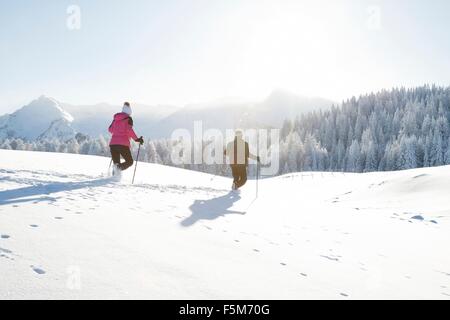 Vista posteriore della coppia senior utilizzando walking su paesaggi innevati, Sattelbergalm, Tirolo, Austria Foto Stock