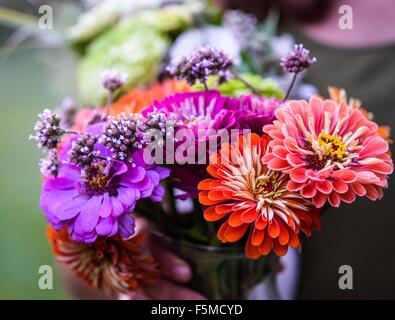 Persona in possesso di fiori colorati Foto Stock