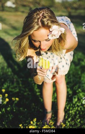 Giovane donna di piegarsi maleodoranti mazzetto di fiori di dente di leone Foto Stock