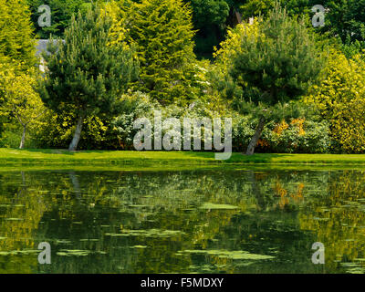 Gli alberi si riflette nel lago a Hopton Hall giardino nel Derbyshire Dales Peak District Inghilterra REGNO UNITO Foto Stock