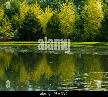 Gli alberi si riflette nel lago a Hopton Hall giardino nel Derbyshire Dales Peak District Inghilterra REGNO UNITO Foto Stock