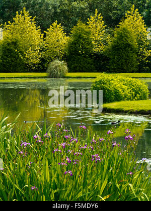 Gli alberi si riflette nel lago a Hopton Hall giardino nel Derbyshire Dales Peak District Inghilterra REGNO UNITO Foto Stock