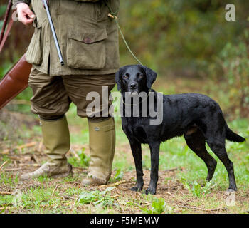 Uomo con la sua black labrador retriever su uno scivolo Foto Stock