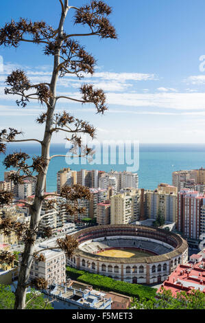 Panoramica di La Malagueta district e il Bullring. Malaga, Andalusia, Spagna Foto Stock