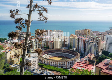 Panoramica di La Malagueta district e il Bullring. Malaga, Andalusia, Spagna Foto Stock