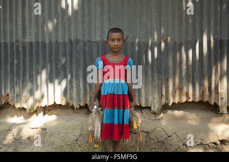 Nov. 6, 2015 - Gazipur, BANGLADESH - Dhaka, Bangladesh 06 Novembre: Bambini che prendono i loro anatra alla casa per la loro alimentazione vicino a Dacca, il 06 novembre 2015..quasi i tre quarti della popolazione vive in zone rurali. Le famiglie nelle zone rurali del Bangladesh si basano principalmente sull'agricoltura,pollame e la pesca per il loro reddito quotidiano..Al Summit sullo Sviluppo sostenibile il 25 settembre 2015, gli Stati membri delle Nazioni Unite adotteranno le 2030 Agenda per lo sviluppo sostenibile, che include un set di 17 Obiettivi di Sviluppo Sostenibile (SDGs) per porre fine alla povertà, lotta di disuguaglianza e di ingiustizia e di affrontare i cambiamenti climatici entro il 2030..PRI Foto Stock