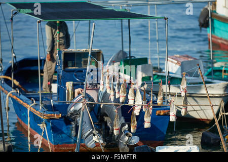 Essiccazione di pesce in Cheung Chau, Porto di Hong Kong. Foto Stock