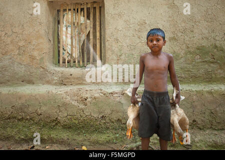 Dacca in Bangladesh. 6 Novembre, 2015. I bambini che hanno preso il loro anatra alla casa per la loro alimentazione vicino a Dacca, il 06 novembre 2015. Quasi i tre quarti della popolazione vive in zone rurali. Le famiglie nelle zone rurali del Bangladesh si basano principalmente sull'agricoltura,pollame e la pesca per il loro reddito quotidiano. Al Summit sullo Sviluppo sostenibile il 25 settembre 2015, gli Stati membri delle Nazioni Unite adotteranno le 2030 Agenda per lo sviluppo sostenibile, che include un set di 17 Obiettivi di Sviluppo Sostenibile (SDGs) per porre fine alla povertà, lotta di disuguaglianza e di ingiustizia e di affrontare i cambiamenti climatici entro il 2030. © zakir hossain chowdhury zakir/al Foto Stock