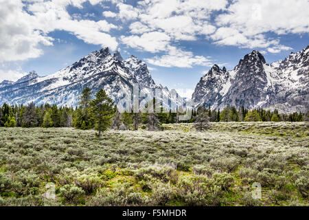 La gamma della montagna di Grand Tetons National Park Foto Stock