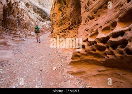 Un escursionista passando da formazioni a nido d'ape in poco cavallo selvaggio canyon, San Rafael Swell, Utah Foto Stock