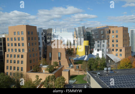 Ray e Maria stata Center building, sul campus del MIT. Progettato da Frank Gehry. Architettura Deconstructivist Foto Stock