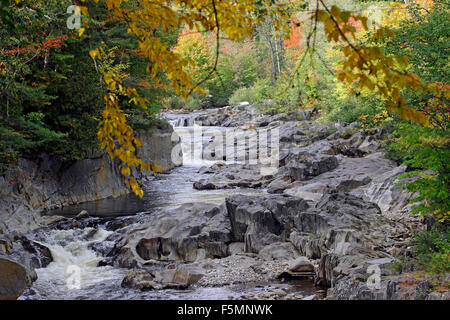 Caduta delle Foglie Swift River Canyon Coos Byron Maine New England USA Foto Stock