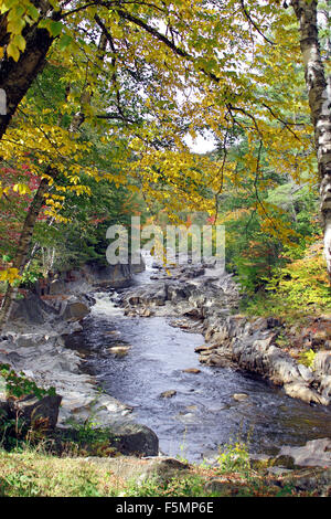 Caduta delle Foglie Swift River Canyon Coos Byron Maine New England USA Foto Stock