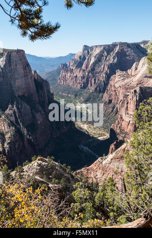 Cima vista di Zion National Park nello Utah. Foto Stock