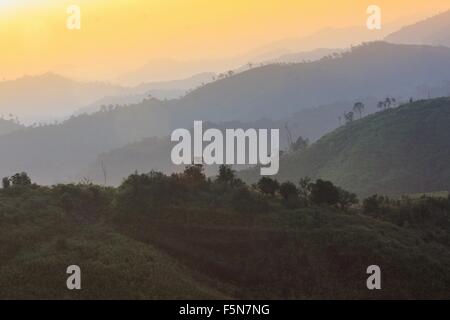 Bellissima alba nelle foreste tropicali, Thailandia. Foto Stock