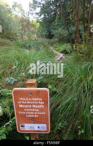 Età del Bronzo la passerella a Meare Heath, Somerset, una replica di un marciapiede da 1500 anni a.c.. Settembre 2013 Foto Stock