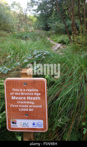 Età del Bronzo la passerella a Meare Heath, Somerset, una replica di un marciapiede da 1500 anni a.c.. Settembre 2013 Foto Stock