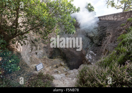 Molti geyser, di sorgenti calde e fumarole sparse nel villaggio centrale di Furnas, São Miguel, Azzorre Foto Stock