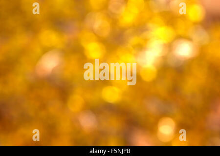 Abstract naturale circolare luce dorata sfondo bokeh di fondo Foto Stock