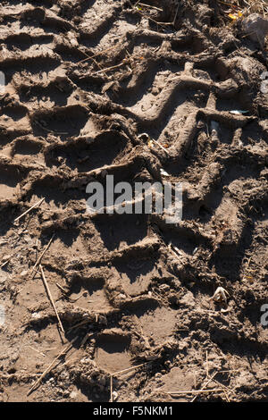 Tracce di pneumatici nel fango di attrezzature pesanti. Foto Stock