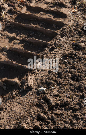 Tracce di pneumatici nel fango di attrezzature pesanti. Foto Stock