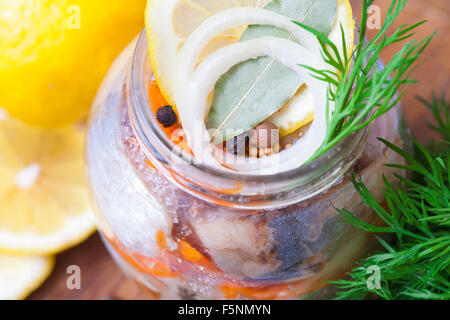 Le aringhe marinate in un vaso con le verdure e le erbe aromatiche Foto Stock