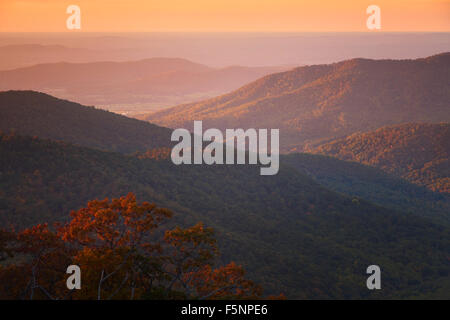 Grandioso e colori d'autunno vista delle montagne di Shenandoah da pinnacoli che si affacciano sulla Skyline Drive Foto Stock