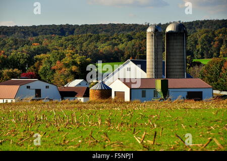 Lancaster County, Pennsylvania: fattoria Amish con fienili, sili e riempito di un presepe di mais per alimentazione del bestiame in inverno * Foto Stock