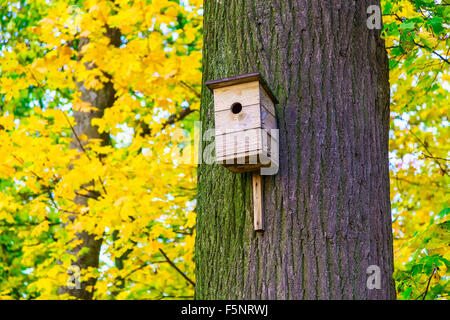 Il focus principale di immagine sulla nidificazione in legno casella sul tronco di albero in autunno Park e sfondo sfocato Foto Stock