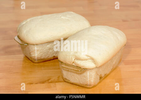 Pane focaccia teglie di pasta in aumento Foto Stock