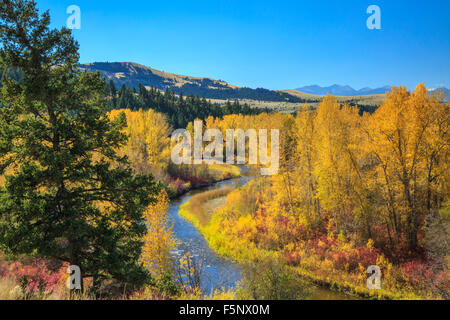 I colori dell'autunno lungo il piccolo fiume blackfoot, con picchi di la pietra focaia creek gamma nella distanza nei pressi di guarnigione, montana Foto Stock