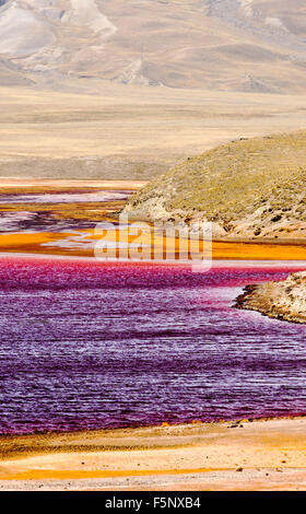 Laguna Miluni è un serbatoio alimentato da acqua di disgelo glaciale dal picco andino di Huayna Potosi sulle Ande boliviane. Come il cambiamento climatico casuses ghiacciai al fuso, la fornitura di acqua per La Paz in Bolivia il capitale viene rapidamente il funzionamento a secco. Il serbatoio è inoltre contaminato da effluente di miniera nonché ad un livello basso a causa della siccità. Foto Stock