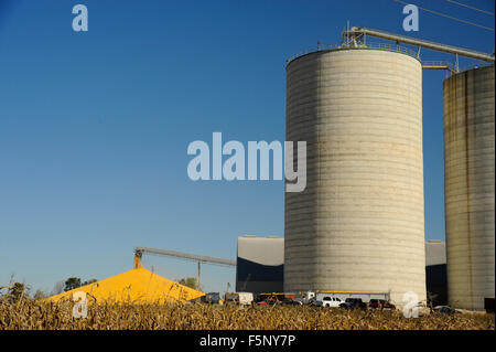 Grano di Kokomo Company Inc., Edimburgo, Indiana Foto Stock