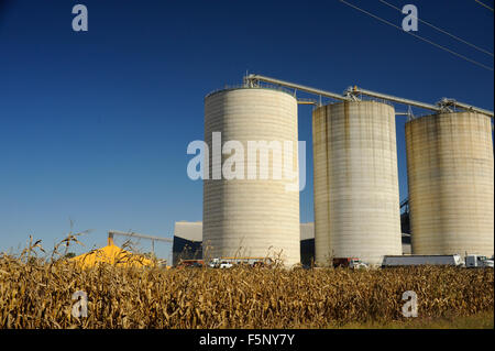 Grano di Kokomo Company Inc., Edimburgo, Indiana Foto Stock