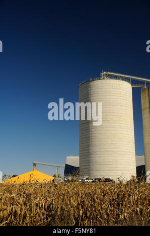 Grano di Kokomo Company Inc., Edimburgo, Indiana Foto Stock