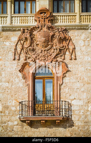 Città spagnola di Alcala de Henares, palazzi e antica università Foto Stock