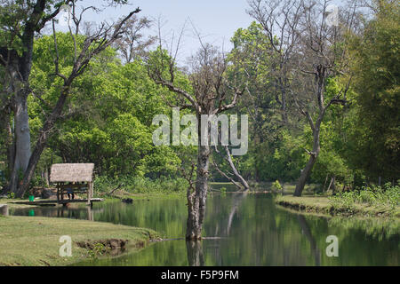 Paesaggio fluviale selvaggio a Bardia national park, il Nepal Foto Stock