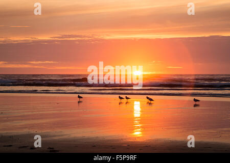 Tierra del Mar Beach, Oregon Foto Stock