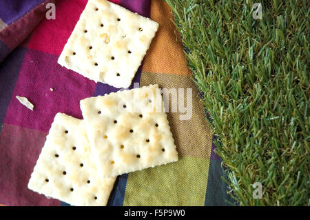 Plain cracker su sfondo colorato con erba verde Foto Stock