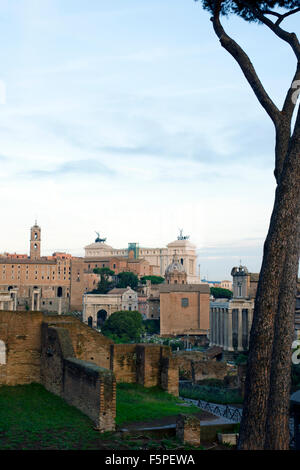 Il Foro Romano: Roma, Italia Foto Stock