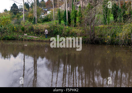 Batheaston, bagno, Somerset, Regno Unito meteo 8 novembre 2015. Un uomo cammina il suo cane lungo la strada alzaia sul fiume Avon su una mattina nuvoloso. Foto di:Richard Wayman/Alamy Live News Foto Stock