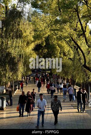 Kunming, la Cina della provincia dello Yunnan. 8 Novembre, 2015. La gente visita Cuihu Park di Kunming, a sud-ovest della Cina di Provincia di Yunnan, nov. 8, 2015. © Lin Yiguang/Xinhua/Alamy Live News Foto Stock