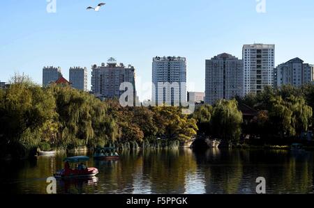 Kunming, la Cina della provincia dello Yunnan. 8 Novembre, 2015. La gente visita Cuihu Park di Kunming, a sud-ovest della Cina di Provincia di Yunnan, nov. 8, 2015. © Lin Yiguang/Xinhua/Alamy Live News Foto Stock