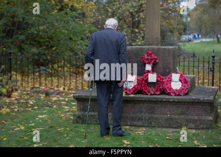 Prosciutto, Surrey, Regno Unito. 08 Nov, 2015. Un lone RAF veterano con un bastone da passeggio paga i suoi rispetti in mezzo a caduta foglie presso la War Memorial a St Andrews Chiesa, prosciutto, Surrey sul ricordo Domenica: Credito a vista/fotografica Alamy Live News Foto Stock