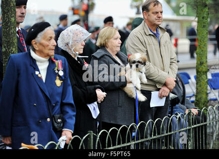 Brighton Regno Unito domenica 8 novembre 2015 - Folle girare per la città di Brighton e Hove un atto di servizio del ricordo presso il Memoriale di guerra nella Old Steine fotografia scattata da Simon Dack Foto Stock