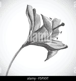 Fiore. Bianco e nero Dotwork Illustrazione Vettoriale