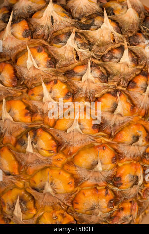 Succosa e pronto a mangiare ananas arancio luminoso esterno che mostra pattern di squame sovrapposte Foto Stock