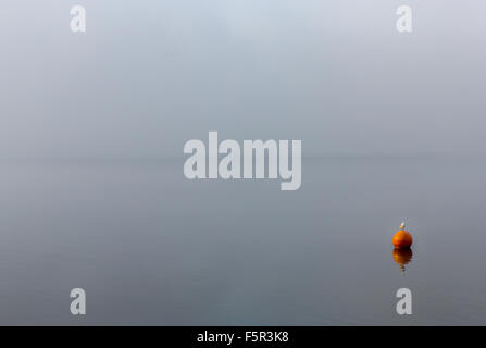 Un unico gabbiano appollaiato su una boa di ormeggio in una nebbiosa mattina Foto Stock