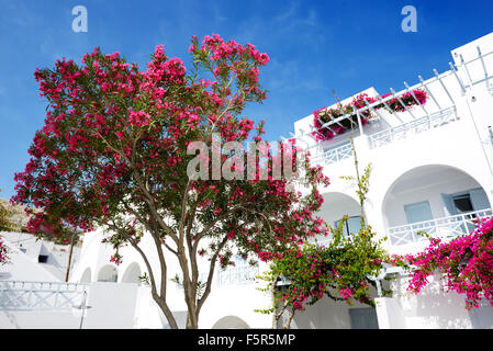 Costruzione di hotel in tradizionale stile greco - Santorini Island, Grecia Foto Stock